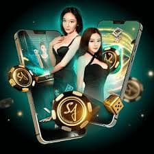 evo33 apk
